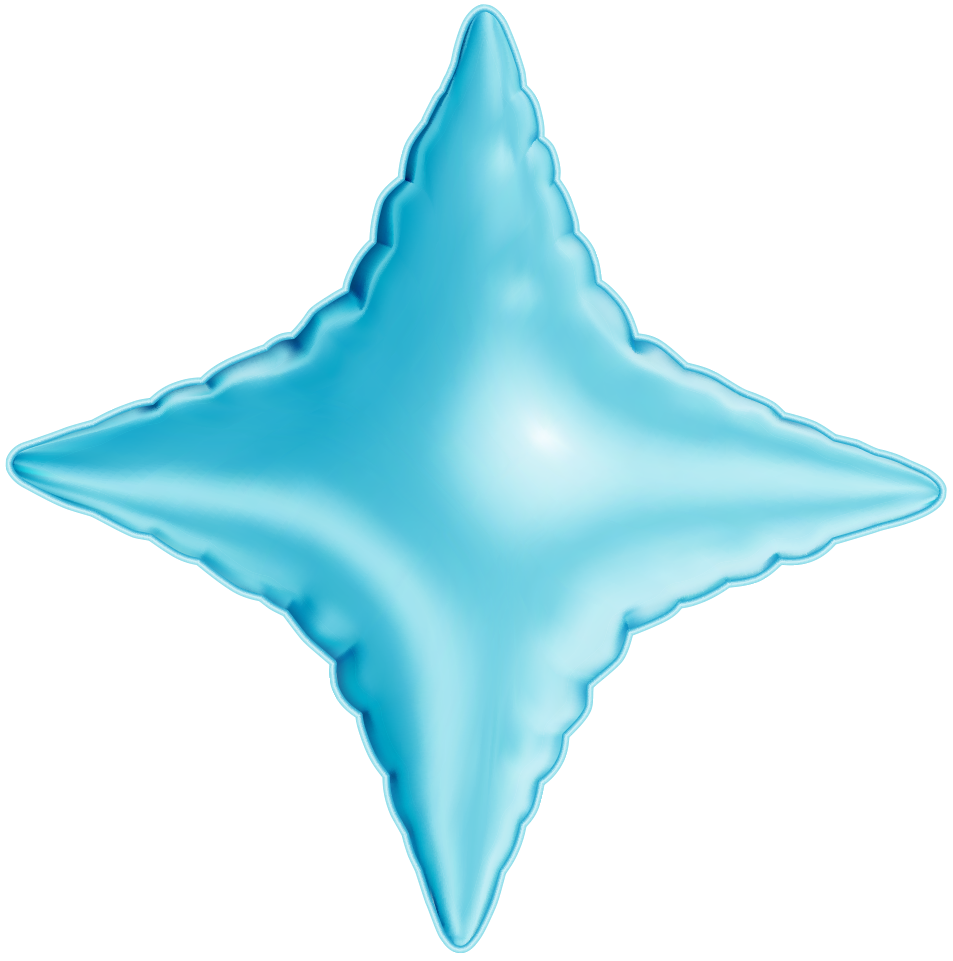 Custom Business Solutions